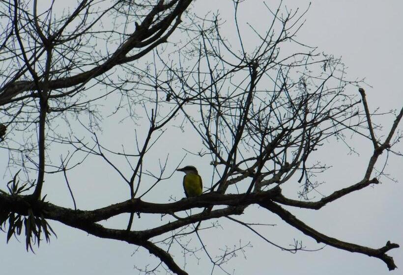 Pension Casa Campo Alojamiento Campestre Para Descanso En Calarcá Quindío