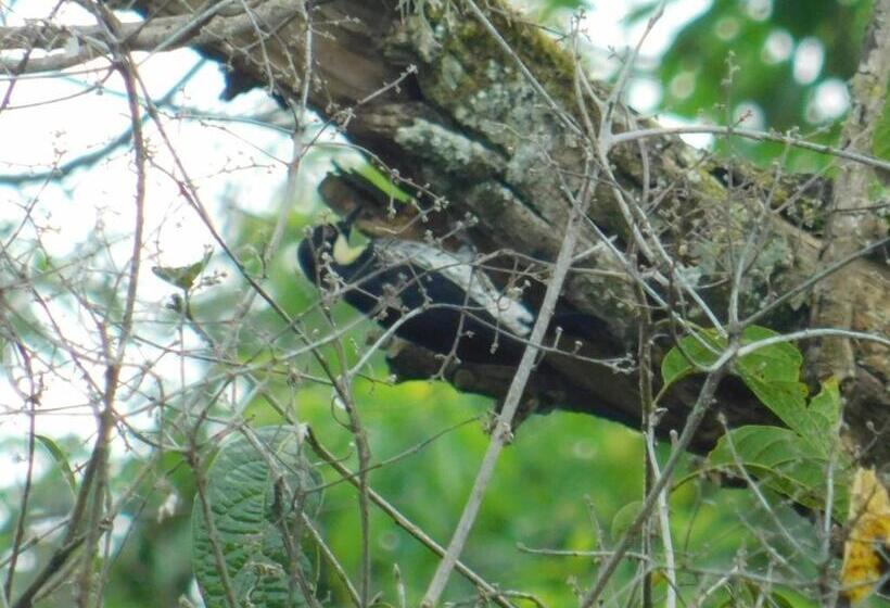 Pension Casa Campo Alojamiento Campestre Para Descanso En Calarcá Quindío