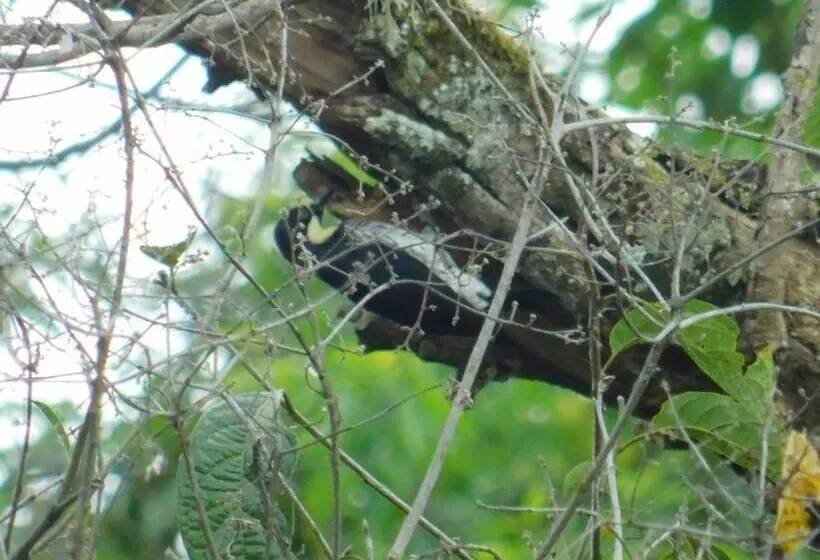 Majatalo Casa Campo Alojamiento Campestre Para Descanso En Calarcá Quindío