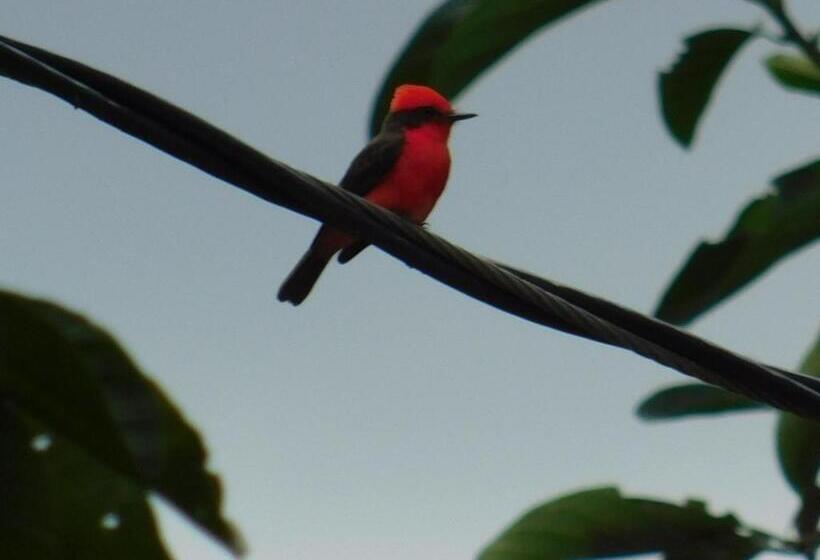 Pension Casa Campo Alojamiento Campestre Para Descanso En Calarcá Quindío