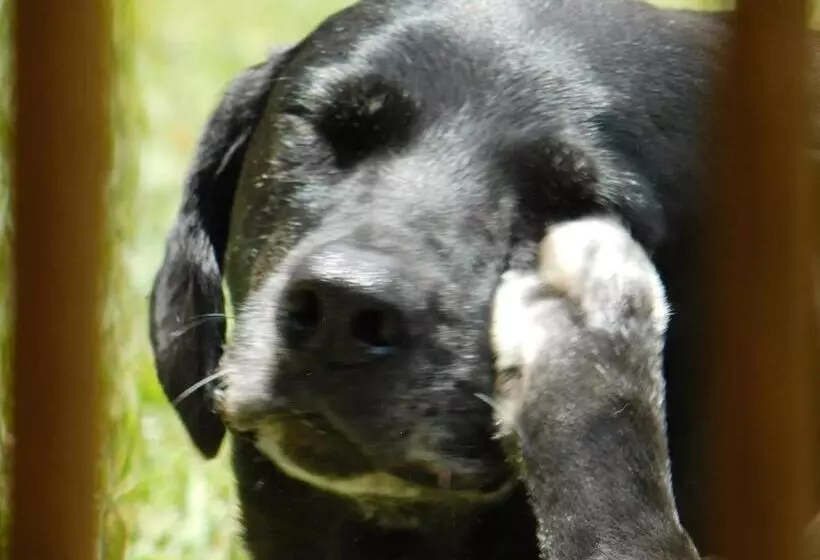 Majatalo Casa Campo Alojamiento Campestre Para Descanso En Calarcá Quindío