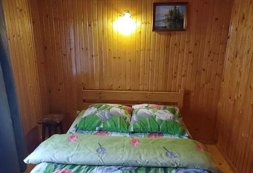 Majatalo Green House Panorama Karpat