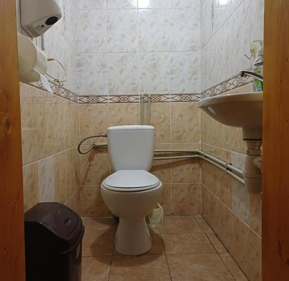 펜션 Green House Panorama Karpat