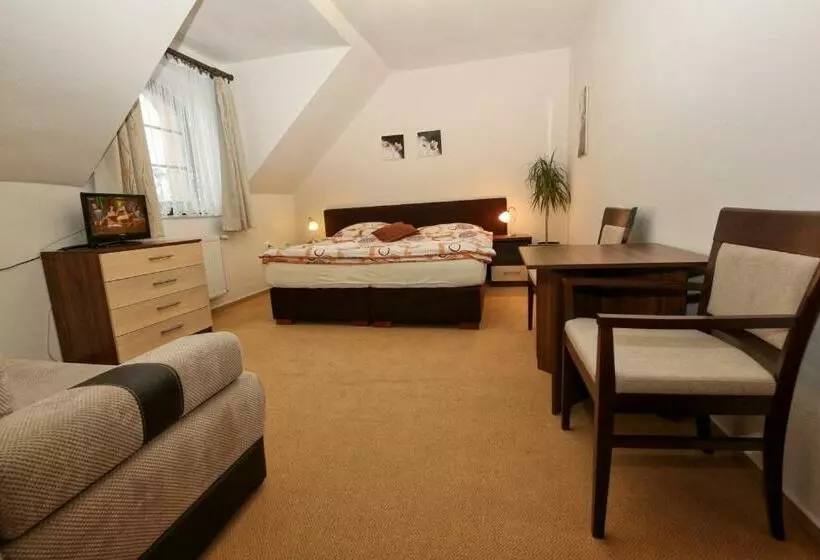 ペンション Penzion U Hraběnky