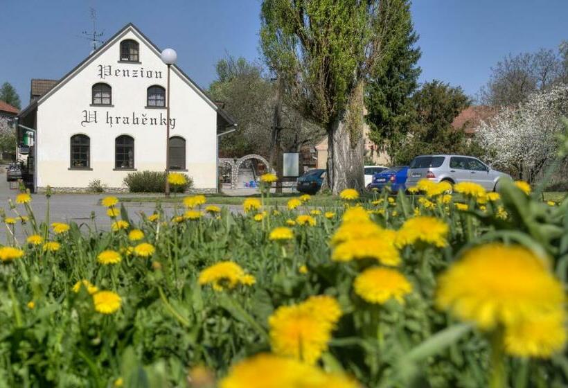 ペンション Penzion U Hraběnky