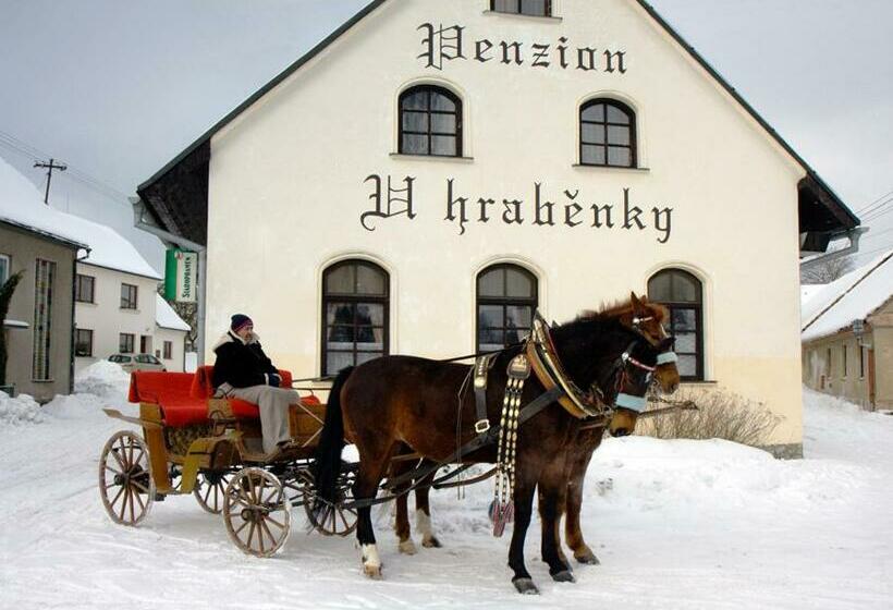 ペンション Penzion U Hraběnky