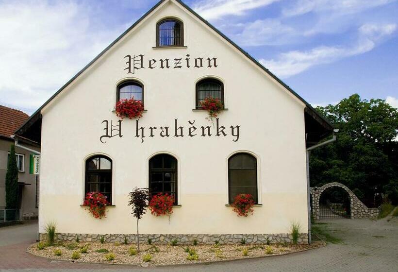 ペンション Penzion U Hraběnky