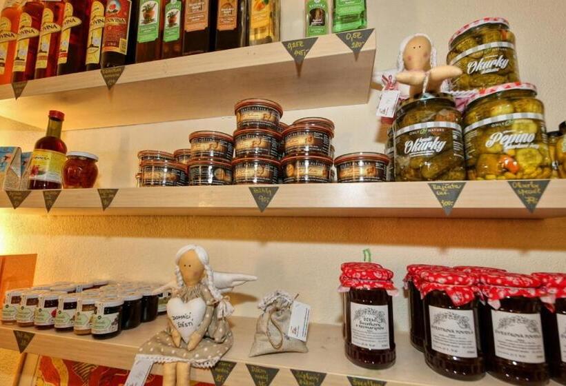 ペンション Penzion U Hraběnky