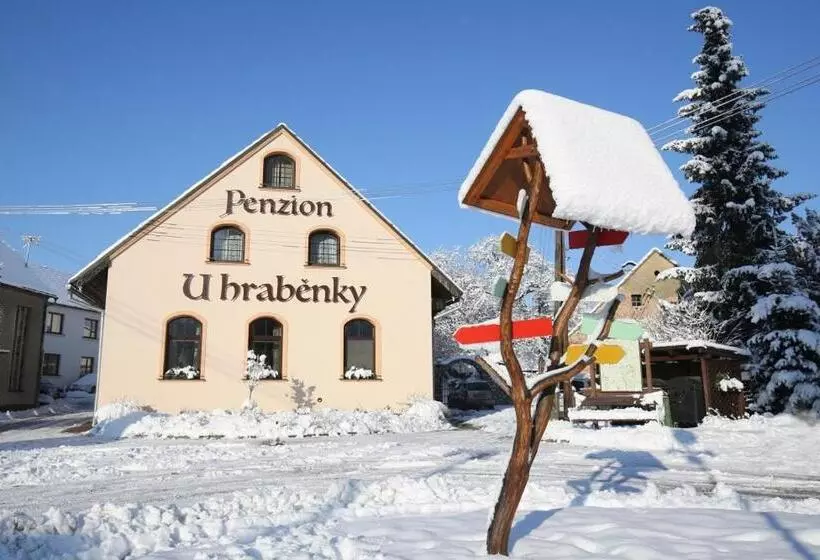 ペンション Penzion U Hraběnky