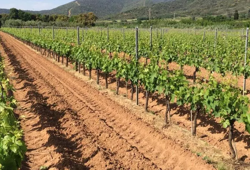 ホテル Agriturismo La Sassicaia