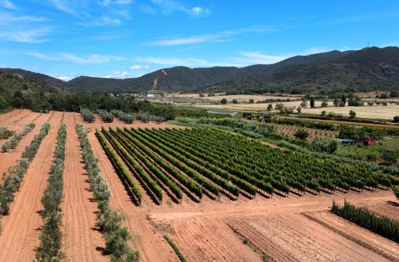 Hotelli Agriturismo La Sassicaia