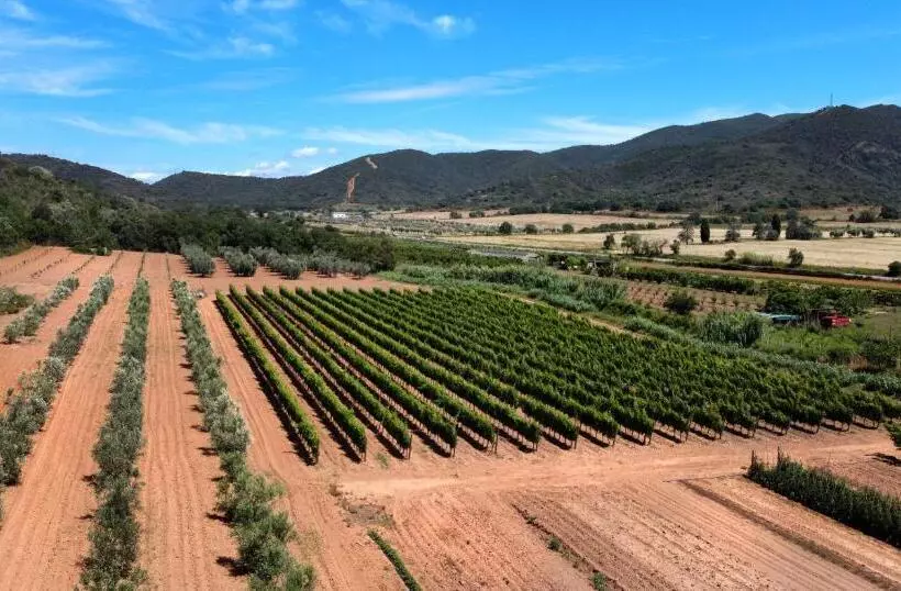 ホテル Agriturismo La Sassicaia