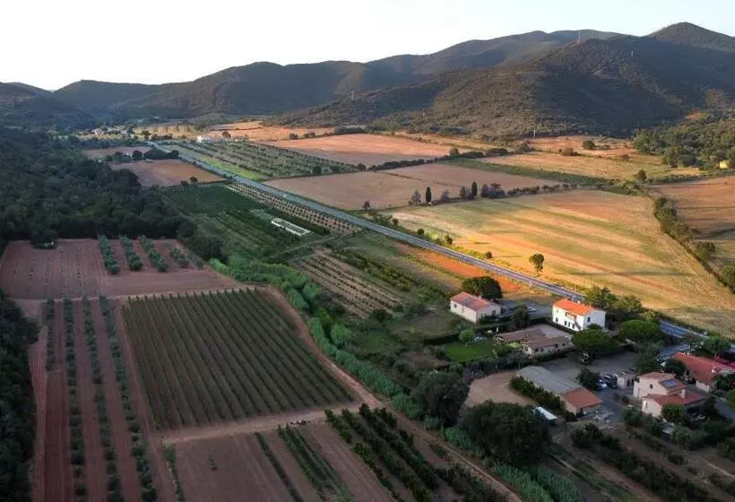 ホテル Agriturismo La Sassicaia