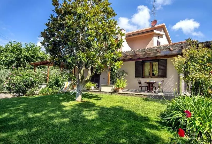 ホテル Agriturismo La Sassicaia
