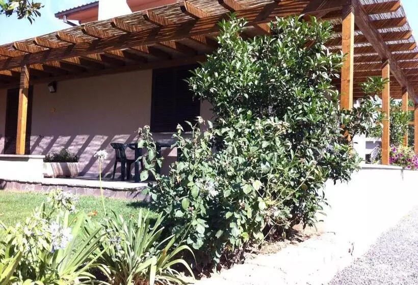ホテル Agriturismo La Sassicaia