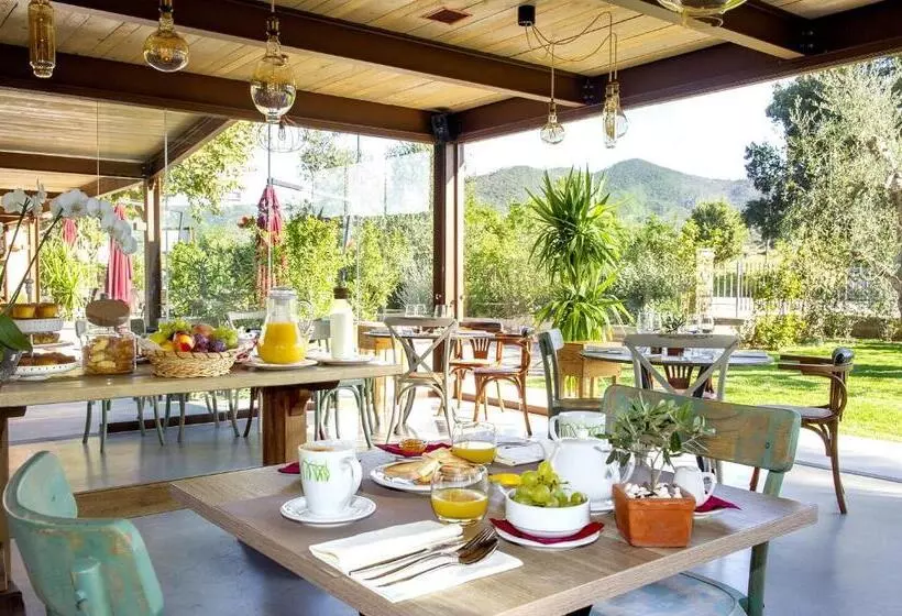 ホテル Agriturismo La Sassicaia