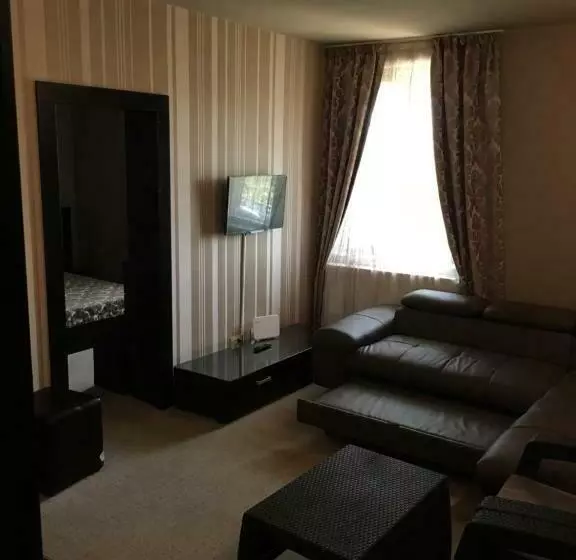 Pension Vila Andrei