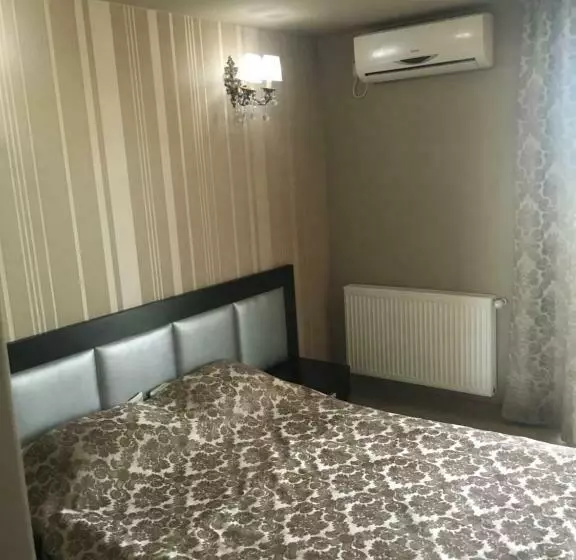 Pension Vila Andrei