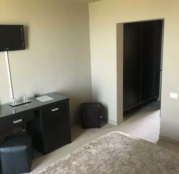 Pension Vila Andrei