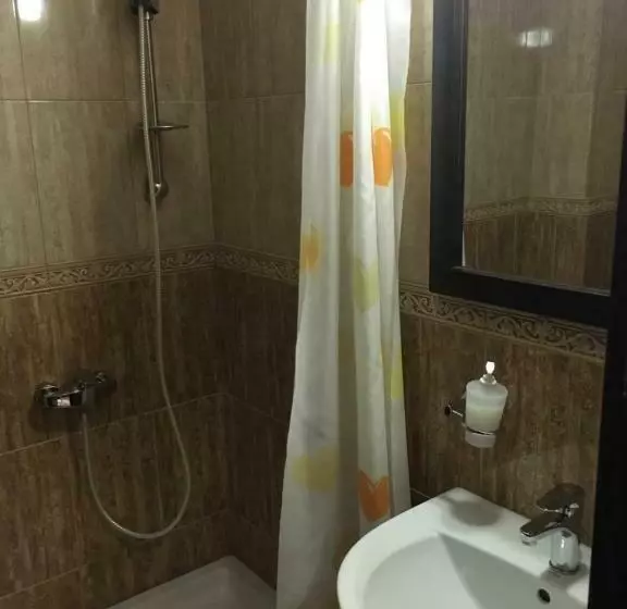 Pension Vila Andrei