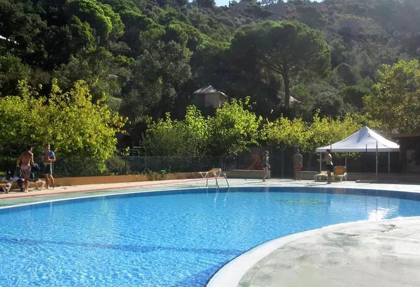 הוסטל Camping Pola