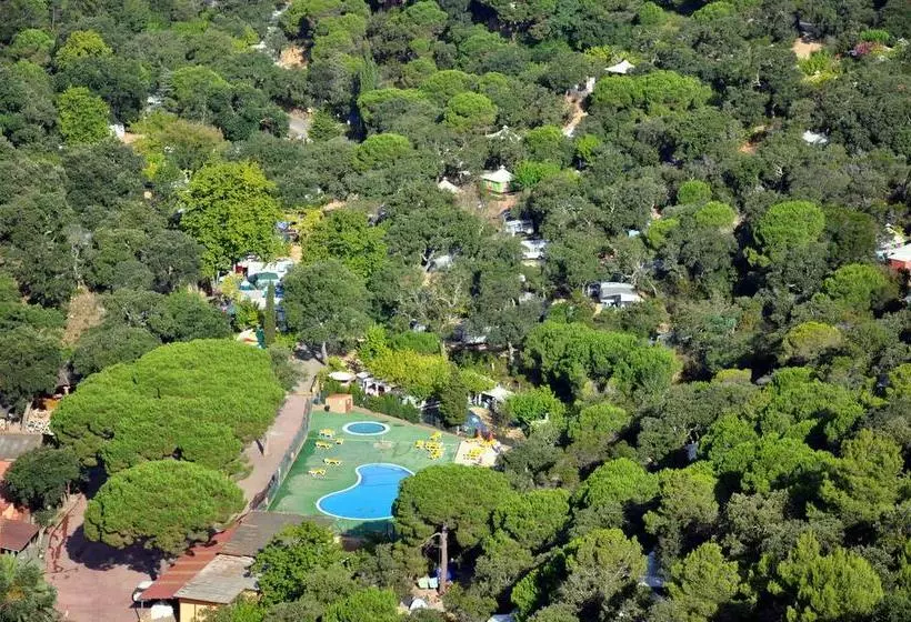 הוסטל Camping Pola