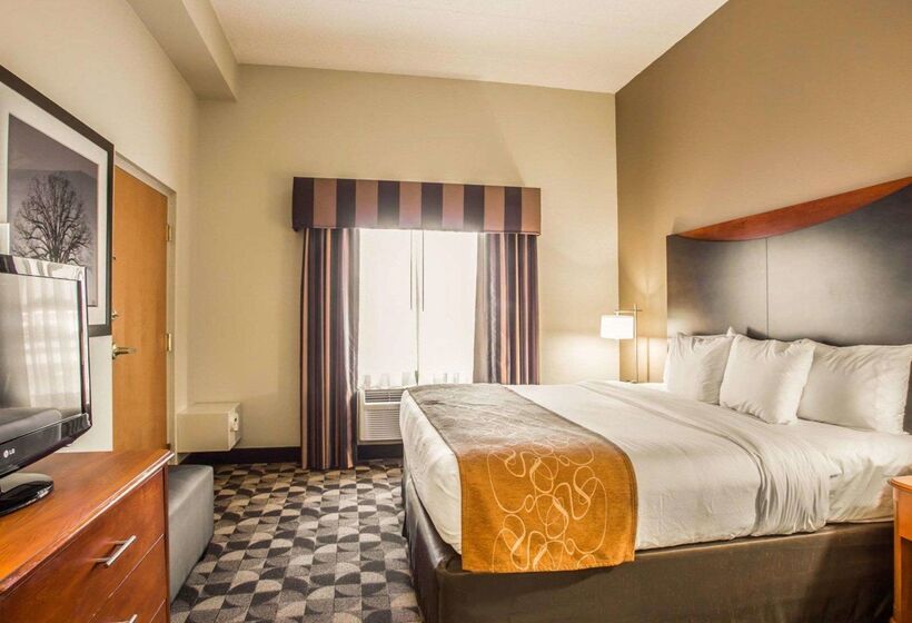 ホテル Comfort Suites Columbia At Harbison