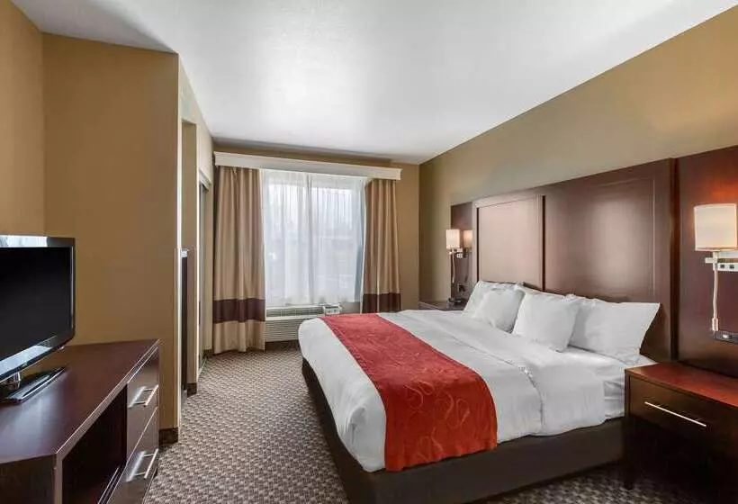 فندق Comfort Suites