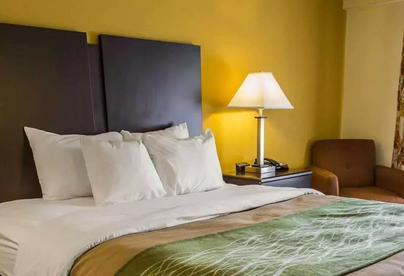 호텔 Quality Inn Jonesville I77
