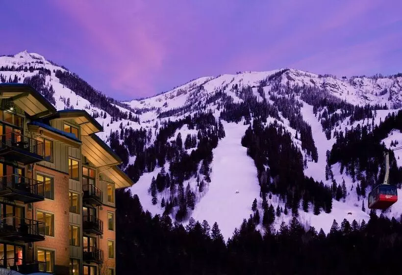 Отель Terra Jackson Hole, A Noble House Resort