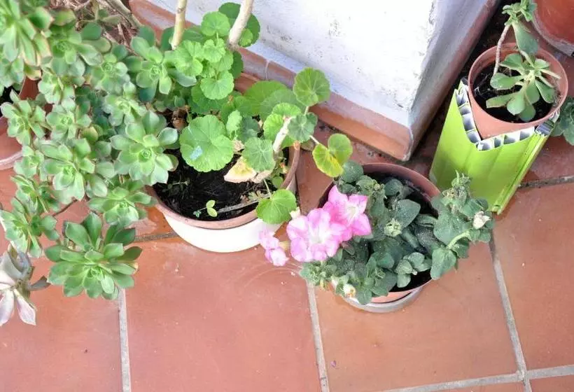 B&b Casacorì
