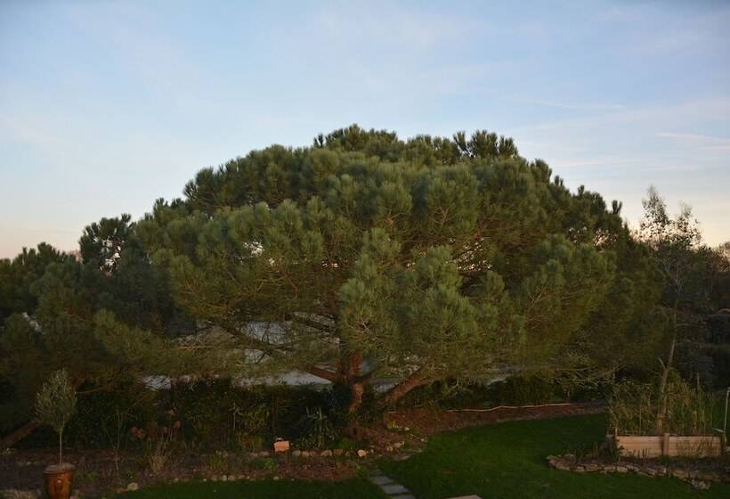 민박 L Abri Côtier