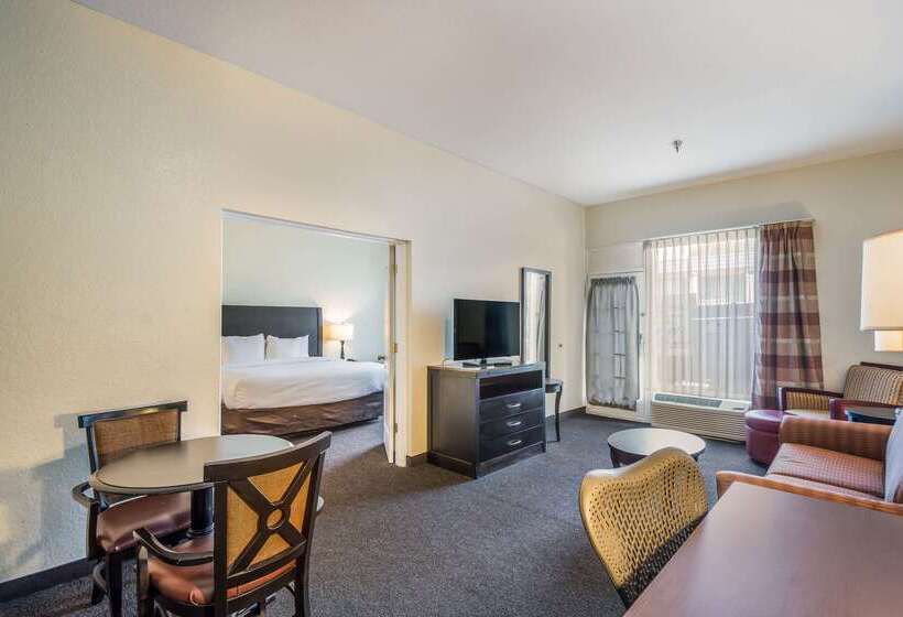 ホテル Clarion Inn & Suites Central Clearwater Beach