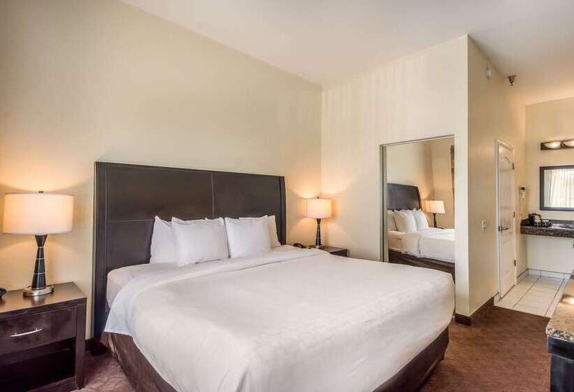 ホテル Clarion Inn & Suites Central Clearwater Beach