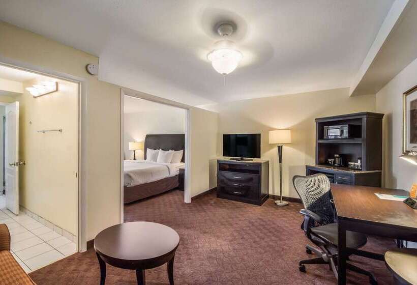 ホテル Clarion Inn & Suites Central Clearwater Beach