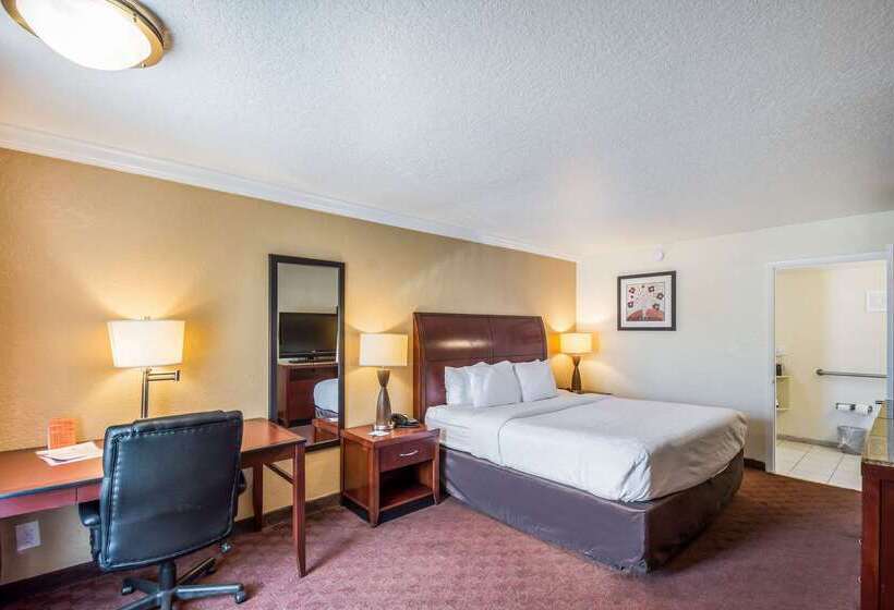 ホテル Clarion Inn & Suites Central Clearwater Beach