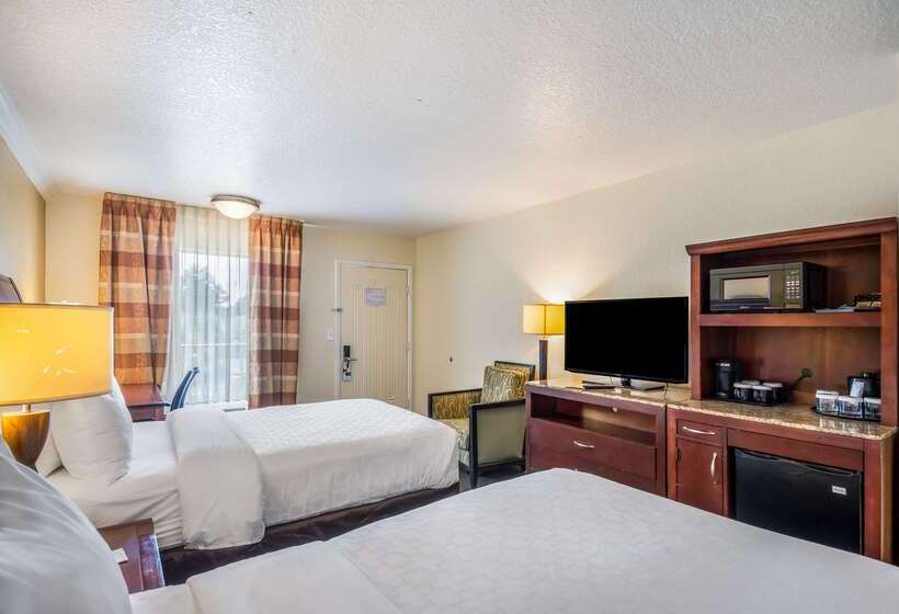 ホテル Clarion Inn & Suites Central Clearwater Beach