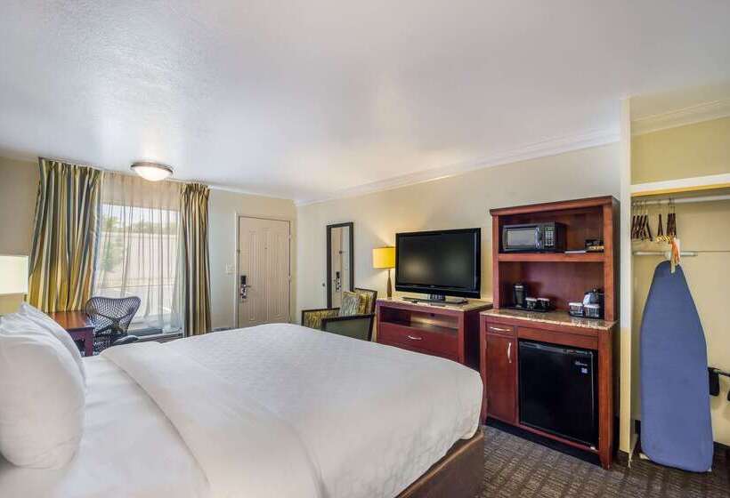 ホテル Clarion Inn & Suites Central Clearwater Beach