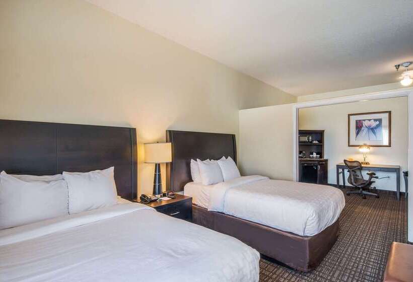 ホテル Clarion Inn & Suites Central Clearwater Beach