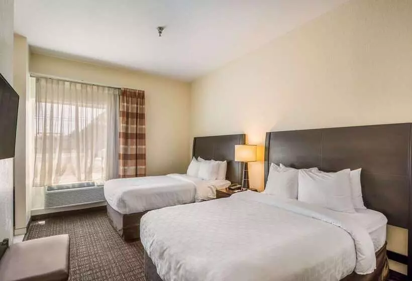 酒店 Clarion Inn & Suites Central Clearwater Beach