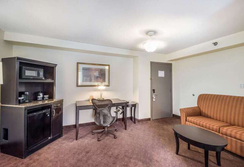 ホテル Clarion Inn & Suites Central Clearwater Beach