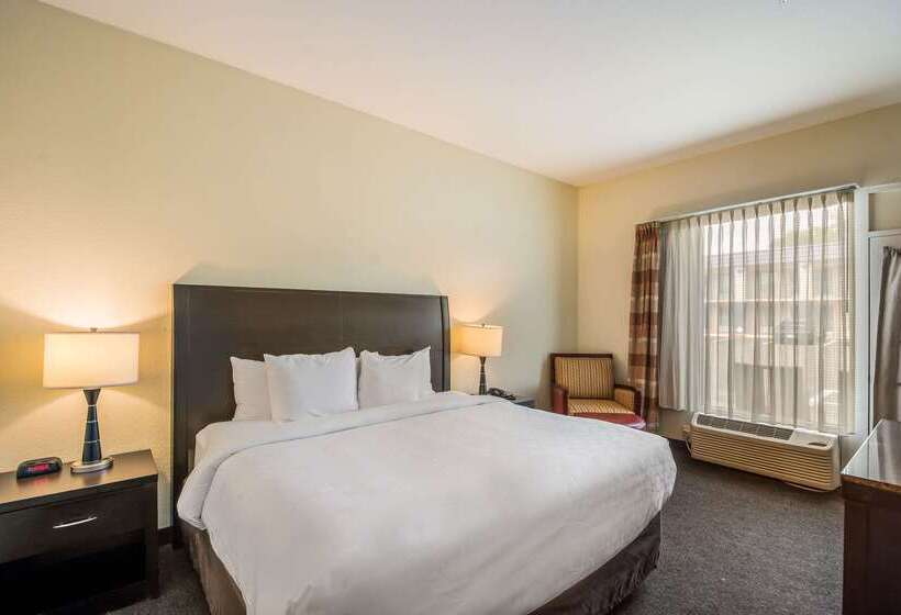 ホテル Clarion Inn & Suites Central Clearwater Beach