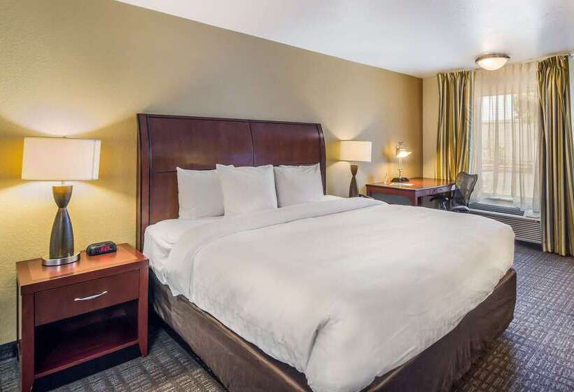 ホテル Clarion Inn & Suites Central Clearwater Beach