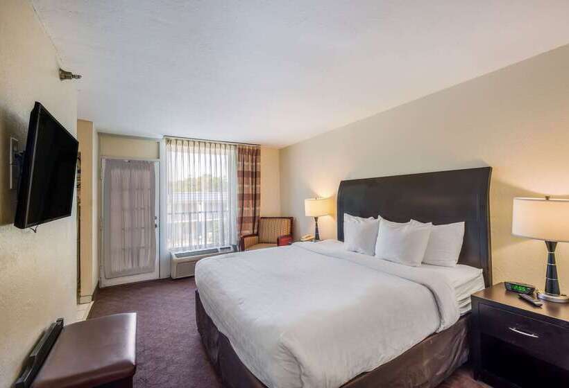 ホテル Clarion Inn & Suites Central Clearwater Beach