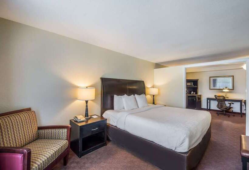 ホテル Clarion Inn & Suites Central Clearwater Beach