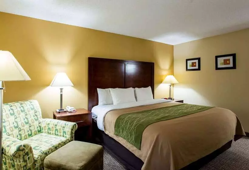 هتل Comfort Inn Columbiabush River