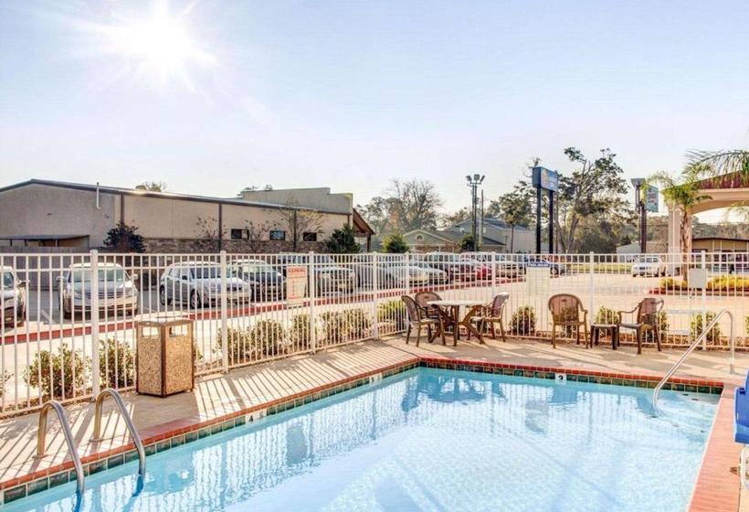 ホテル Comfort Inn Near Casino