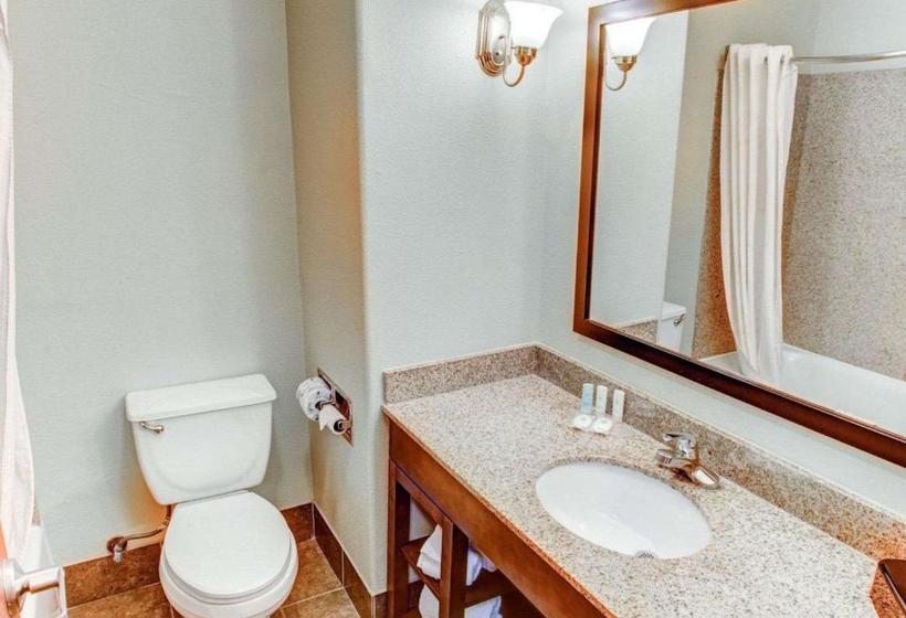 ホテル Comfort Inn Near Casino