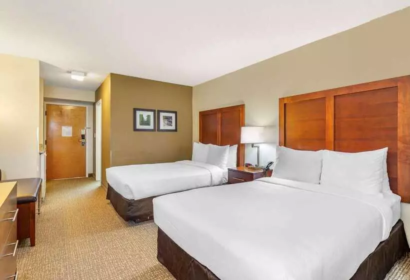 Отель Comfort Inn Quantico