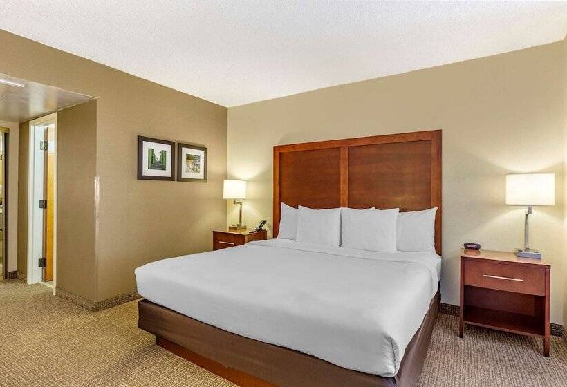 Отель Comfort Inn Quantico